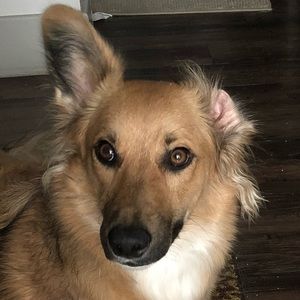 Meet your Posher, Joshua